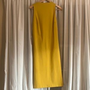 Never worn Babaton Dress